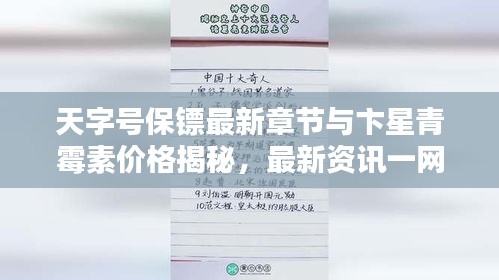 天字号保镖最新章节与卞星青霉素价格揭秘，最新资讯一网打尽