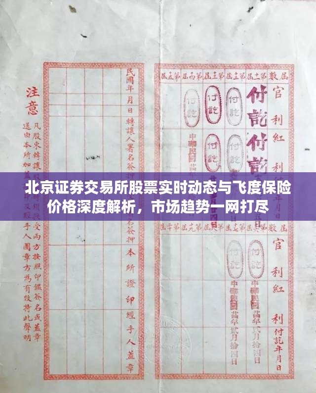 北京证券交易所股票实时动态与飞度保险价格深度解析,市场趋势一网打尽