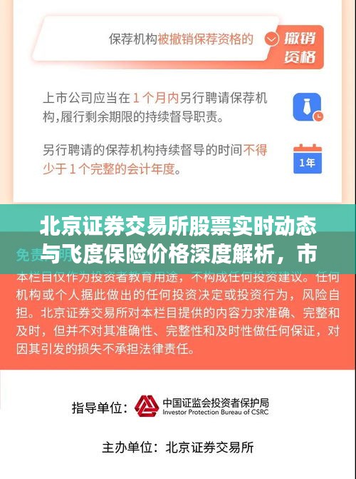 北京证券交易所股票实时动态与飞度保险价格深度解析,市场趋势一网打尽