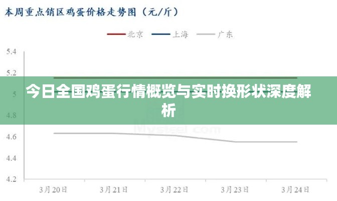 今日全国鸡蛋行情概览与实时换形状深度解析