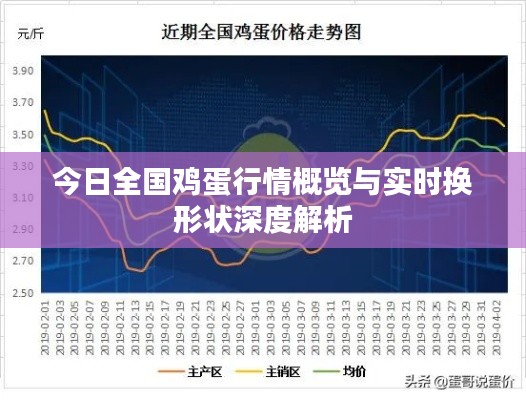 今日全国鸡蛋行情概览与实时换形状深度解析