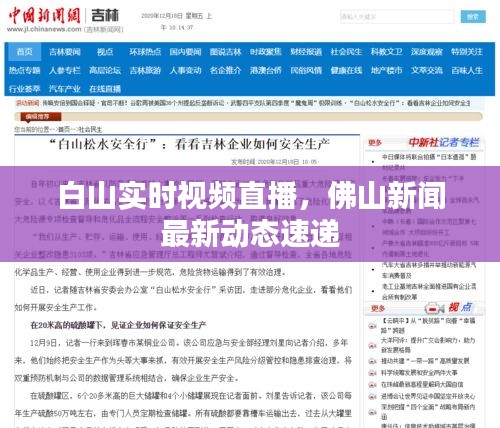 白山实时视频直播,佛山新闻最新动态速递