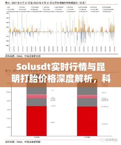 Solusdt实时行情与昆明打胎价格深度解析,科学宝岛观察报告