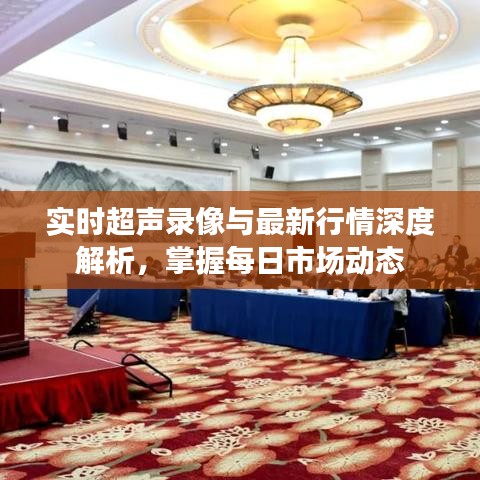 实时超声录像与最新行情深度解析，掌握每日市场动态