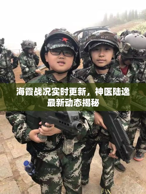 海霞战况实时更新,神医陆逸最新动态揭秘