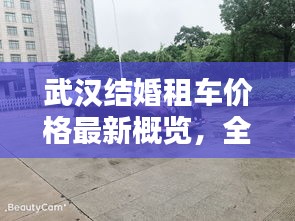 武汉结婚租车价格最新概览,全方位了解租车费用信息!