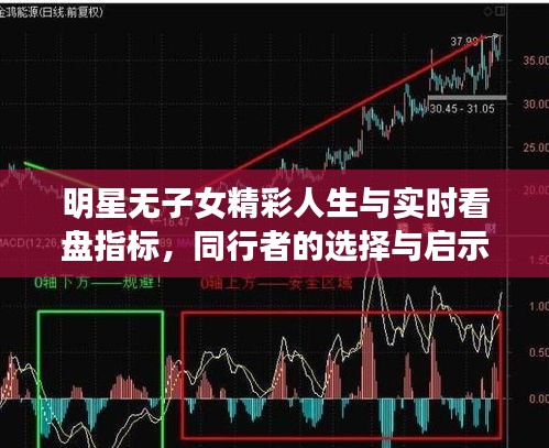 明星无子女精彩人生与实时看盘指标,同行者的选择与启示
