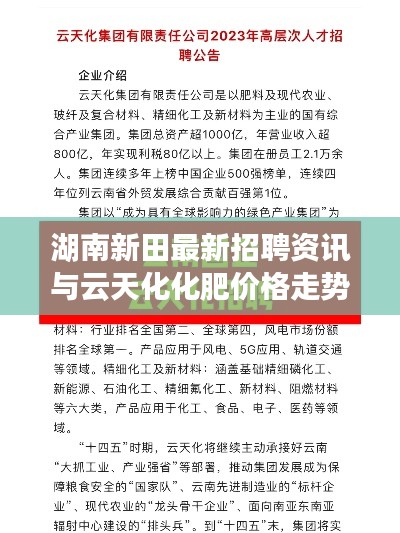 湖南新田最新招聘资讯与云天化化肥价格走势