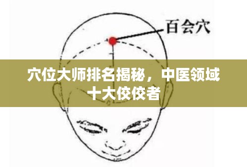 穴位大师排名揭秘，中医领域十大佼佼者