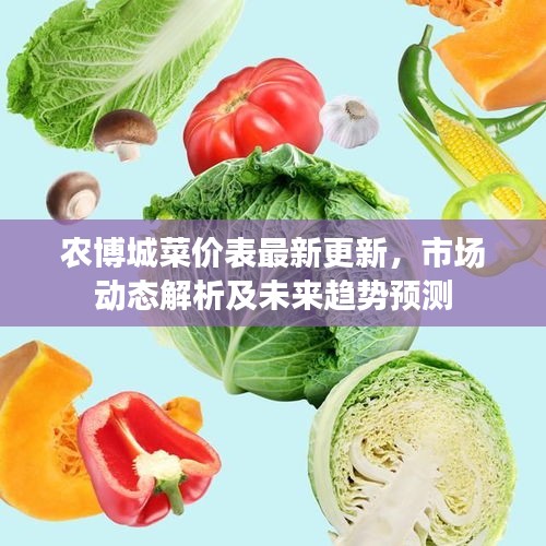 农博城菜价表最新更新,市场动态解析及未来趋势预测