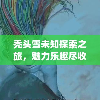 秃头雪未知探索之旅，魅力乐趣尽收眼底，最新视频在线观看