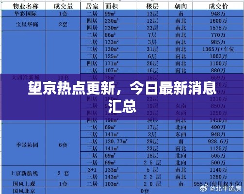 望京热点更新,今日最新消息汇总