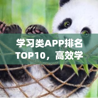 学习类APP排名TOP10,高效学习利器助你轻松领跑学习之路