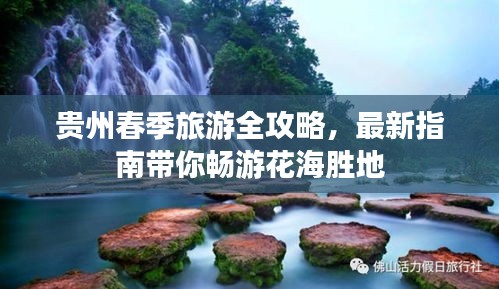 贵州春季旅游全攻略,最新指南带你畅游花海胜地