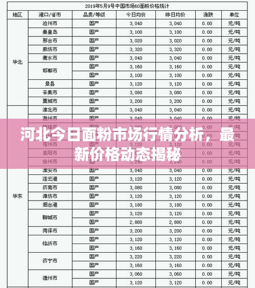 河北今日面粉市场行情分析,最新价格动态揭秘