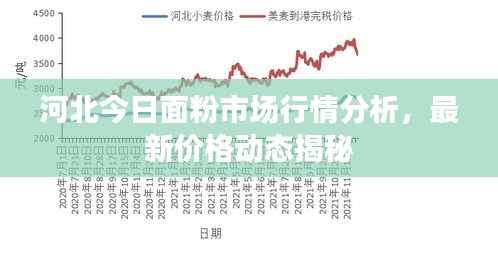 河北今日面粉市场行情分析,最新价格动态揭秘
