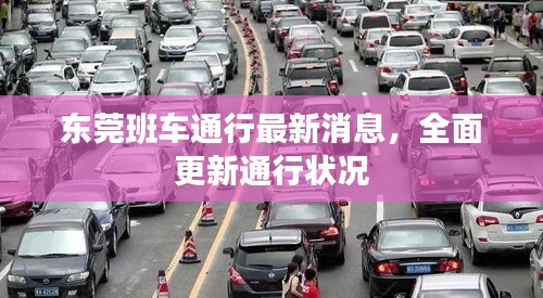 东莞班车通行最新消息，全面更新通行状况
