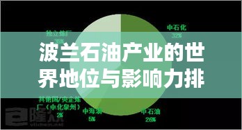 波兰石油产业的世界地位与影响力排名解析