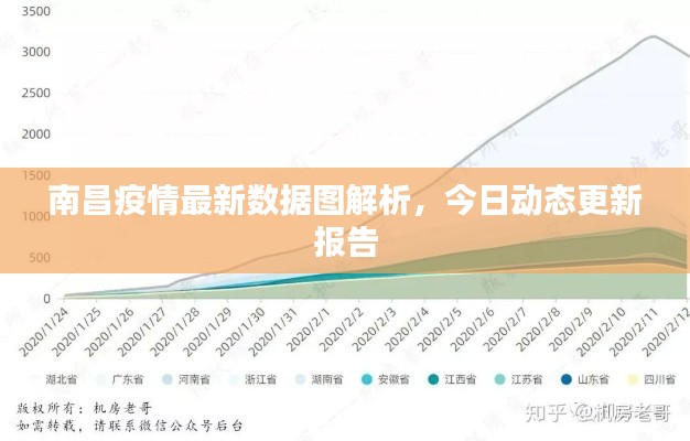 南昌疫情最新数据图解析，今日动态更新报告