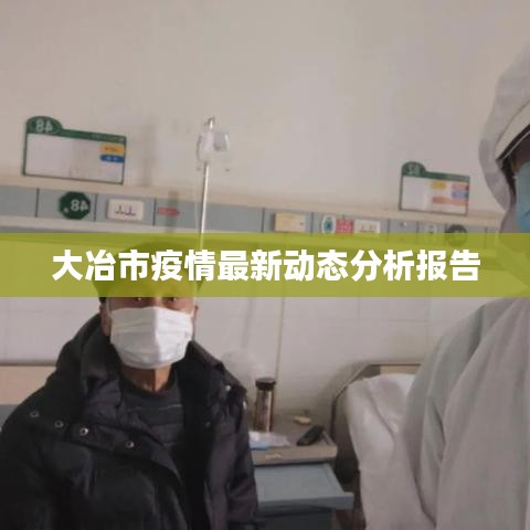 大冶市疫情最新动态分析报告