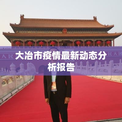 大冶市疫情最新动态分析报告