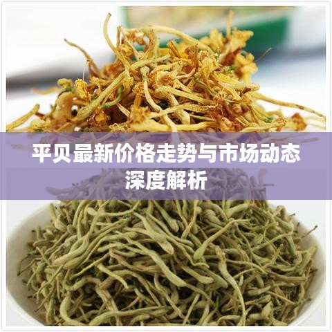 平贝最新价格走势与市场动态深度解析