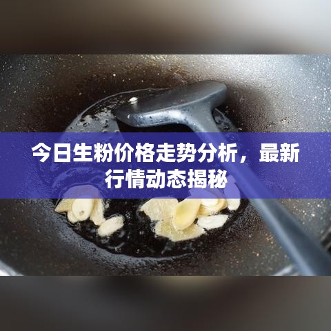 今日生粉价格走势分析,最新行情动态揭秘