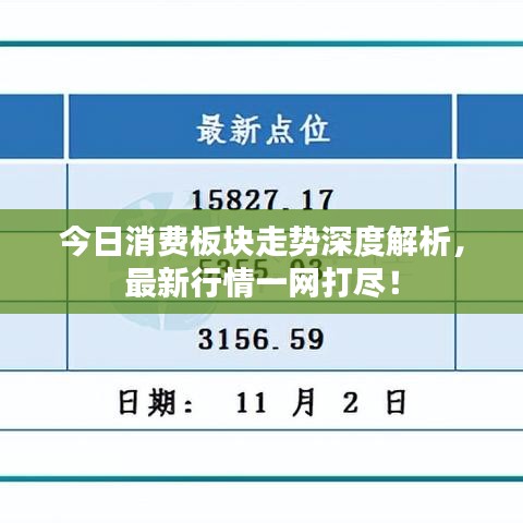 今日消费板块走势深度解析，最新行情一网打尽！