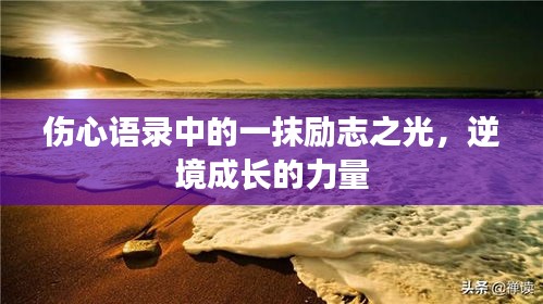 伤心语录中的一抹励志之光，逆境成长的力量