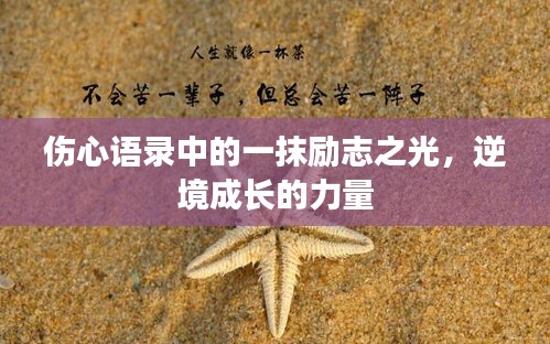 伤心语录中的一抹励志之光,逆境成长的力量