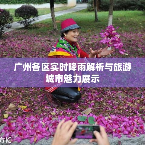广州各区实时降雨解析与旅游城市魅力展示