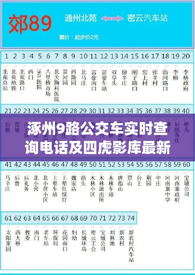 涿州9路公交车实时查询电话及四虎影库最新网址揭秘