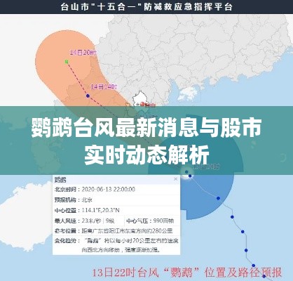 鹦鹉台风最新消息与股市实时动态解析