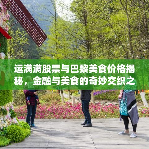 运满满股票与巴黎美食价格揭秘，金融与美食的奇妙交织之旅
