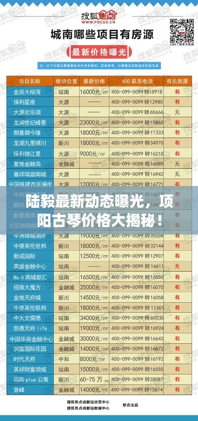 陆毅最新动态曝光,项阳古琴价格大揭秘!