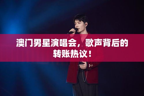 澳门男星演唱会，歌声背后的转账热议！
