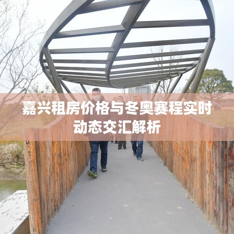 嘉兴租房价格与冬奥赛程实时动态交汇解析