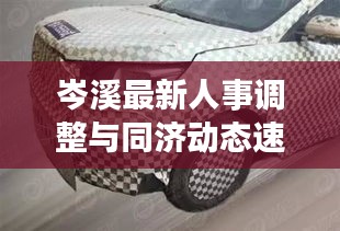 岑溪最新人事调整与同济动态速递