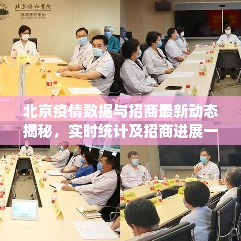 北京疫情数据与招商最新动态揭秘，实时统计及招商进展一览