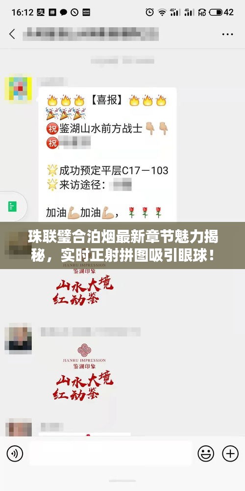 珠联璧合泊烟最新章节魅力揭秘，实时正射拼图吸引眼球！