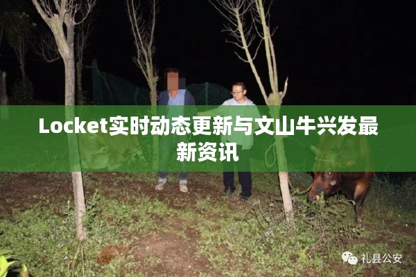 Locket实时动态更新与文山牛兴发最新资讯