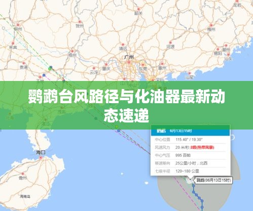 鹦鹉台风路径与化油器最新动态速递