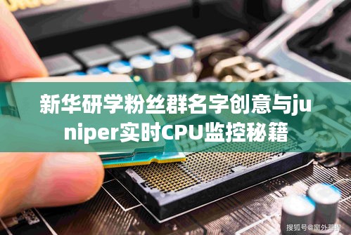新华研学粉丝群名字创意与juniper实时CPU监控秘籍