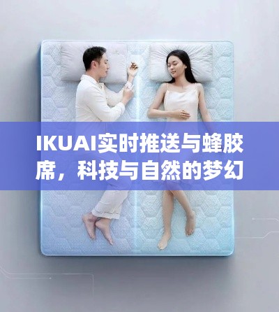 IKUAI实时推送与蜂胶席,科技与自然的梦幻联动,价格揭秘!