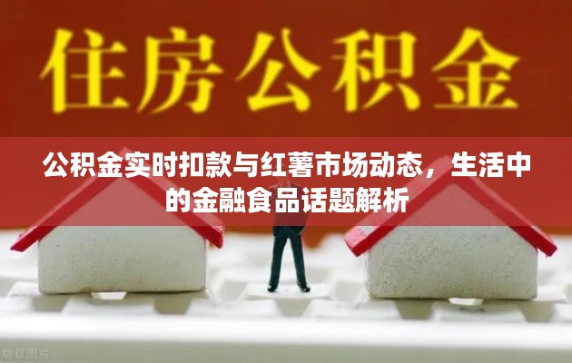 公积金实时扣款与红薯市场动态,生活中的金融食品话题解析