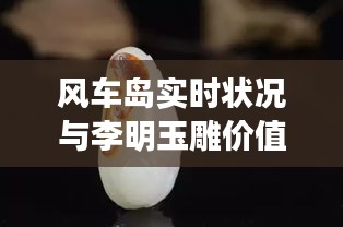 风车岛实时状况与李明玉雕价值深度解析
