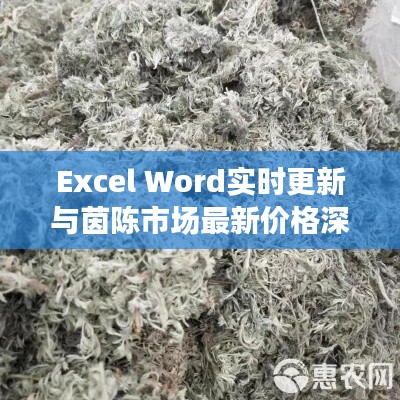 Excel Word实时更新与茵陈市场最新价格深度解析