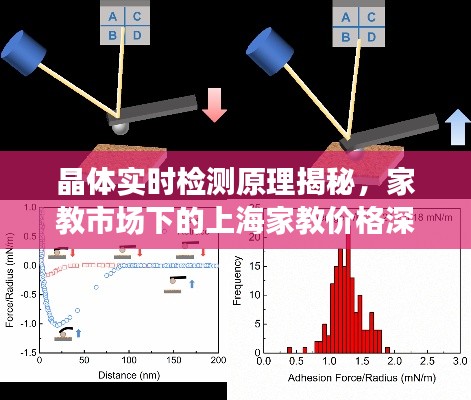 晶体实时检测原理揭秘,家教市场下的上海家教价格深度解析