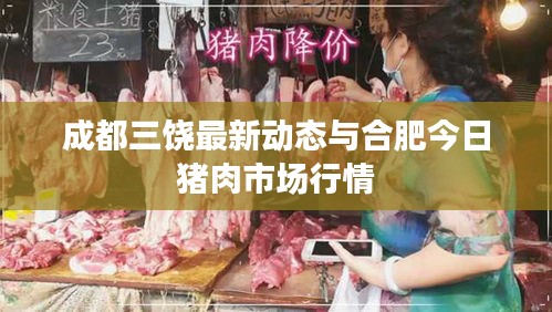 成都三饶最新动态与合肥今日猪肉市场行情