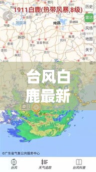 台风白鹿最新动态及专利图片更新报告速递